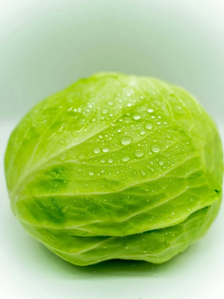Unleashing Profits: Why Cabbage Is the Next Big Thing in Global B2B Trade 1 Cabbage
