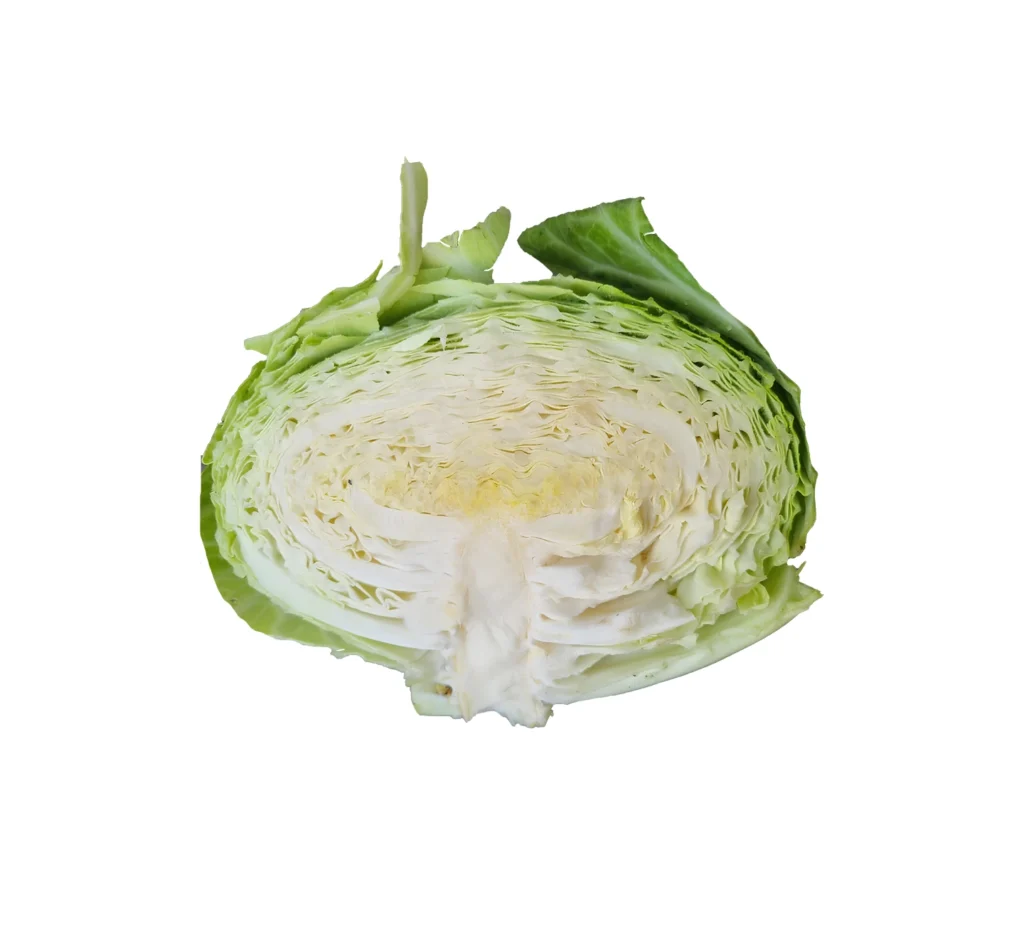 🥬 Our Product 2 Green Cabbage 2