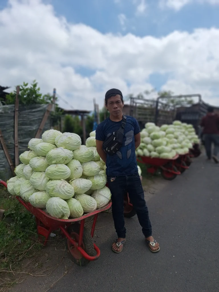 Horticultural-products-Indonesia Horticultural products Indonesia 1