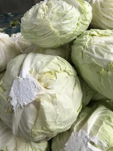 Indonesian premium cabbage supplier Indonesian premium cabbage supplier