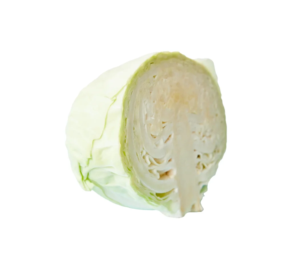 🥬 Our Product 3 White Cabbage 1