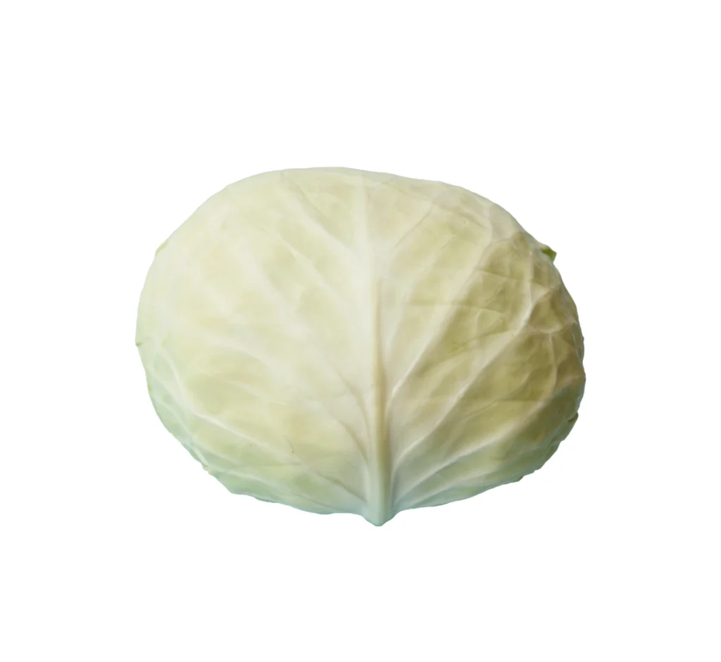 🥬 Our Product 4 White Cabbage 2